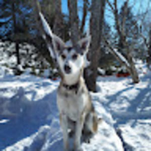 Meet your Posher, Timothé